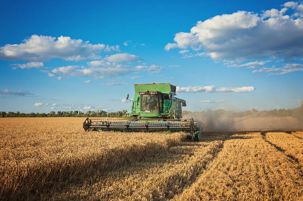 Recuperação judicial no agro: O sinal do CNJ para o mercado de crédito